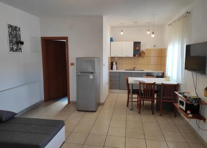 Joy Ii דירה שיבניק